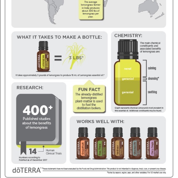 NEW Lemongrass Organic Body Scrub great exfoliant coffee or sugar #peacedbyalise - Picture 4 of 4